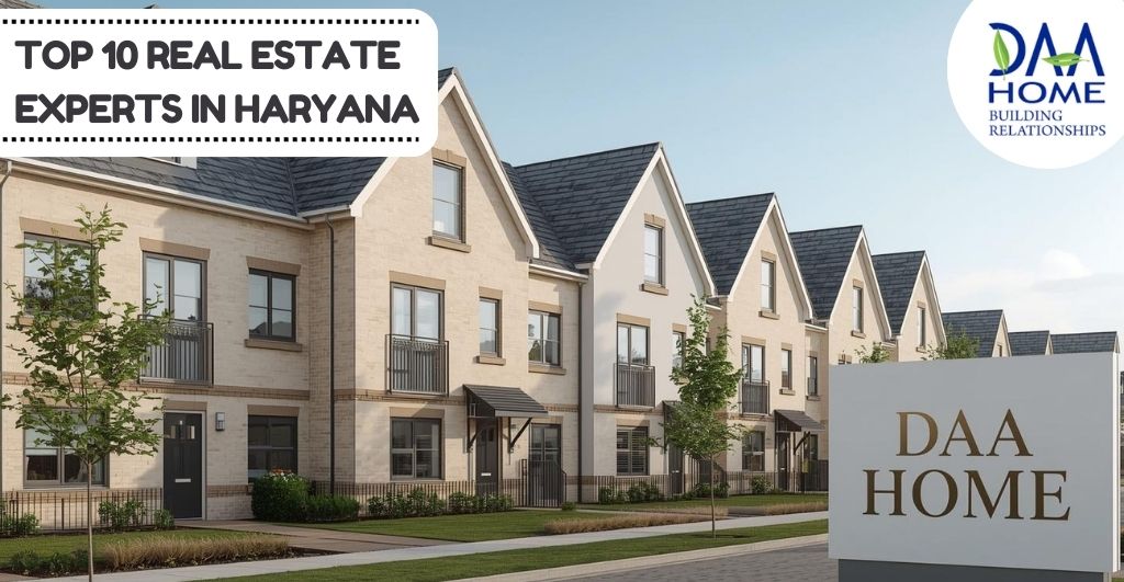 Top 10 Real Estate Experts in Haryana